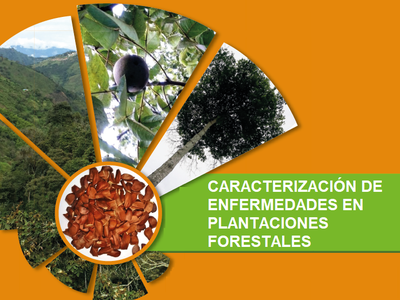 Caracterización de Enfermedades en Plantaciones Forestales - Introducción