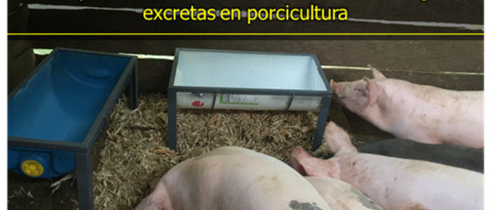 Cama profunda como una alternativa de manejo de excretas en porcicultura