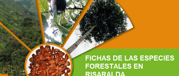 Fichas de las Especies Forestales en Risaralda