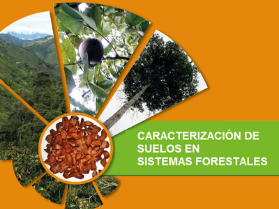 Caracterización de Suelos en Sistemas Forestales