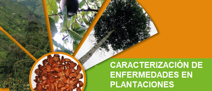 Caracterización de Enfermedades en Plantaciones Forestales - Introducción