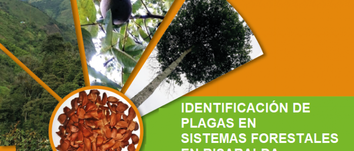Identificación de Plagas en Sistemas Forestales en Risaralda